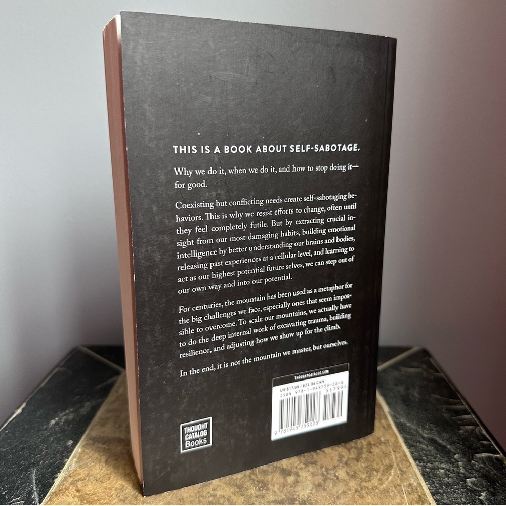 The Mountain Is You Book - Picture 2 of 3